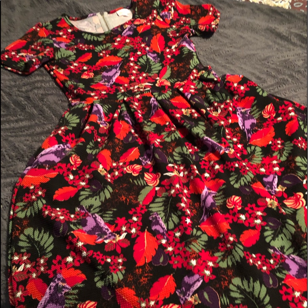 LuLaRoe Amelia